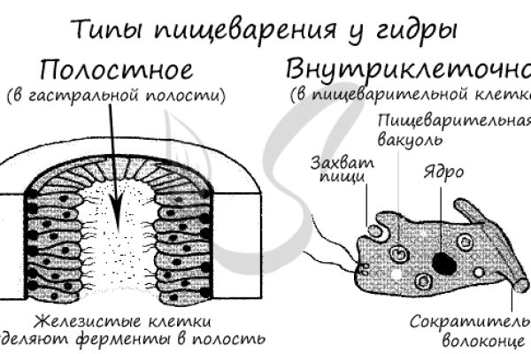 Ссылки тор браузер