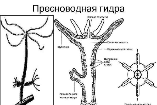 Мега кракен блэк спрут